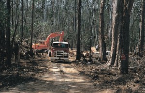 http://commons.wikimedia.org/wiki/File:Logging_forest_in_New_South_Wales.jpeg